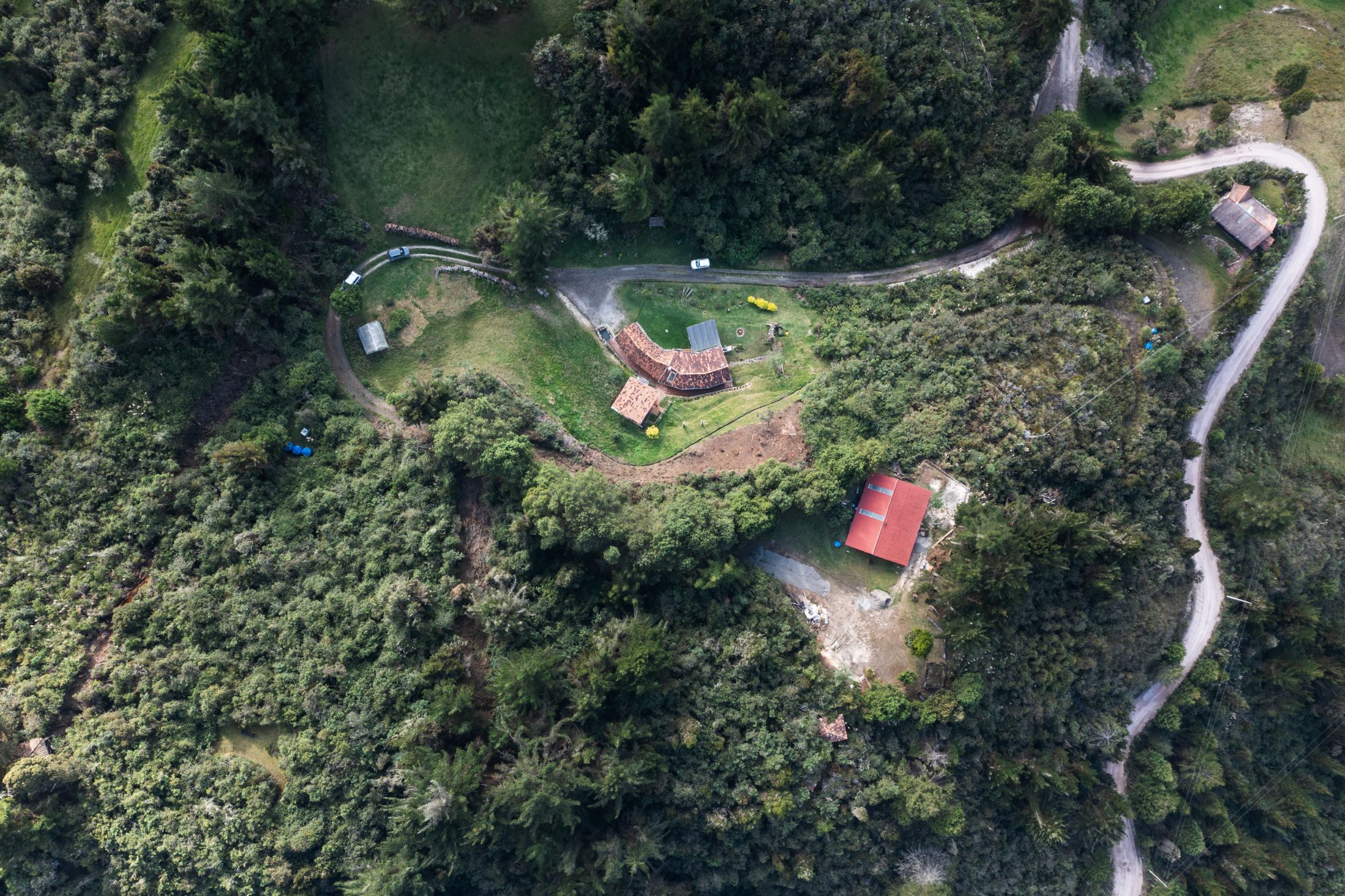Casa Tarqui — vista cenital de la implantación entre el bosque y el camino