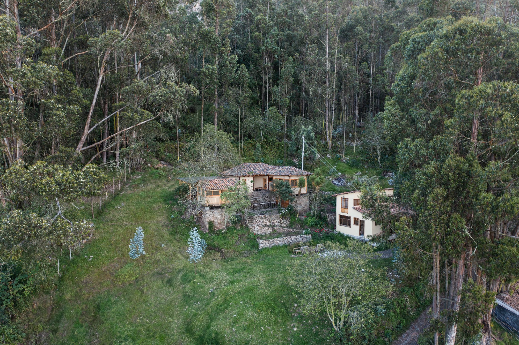 Vista aérea del conjunto entre el bosque de eucaliptos, terrazas y edificios anexos